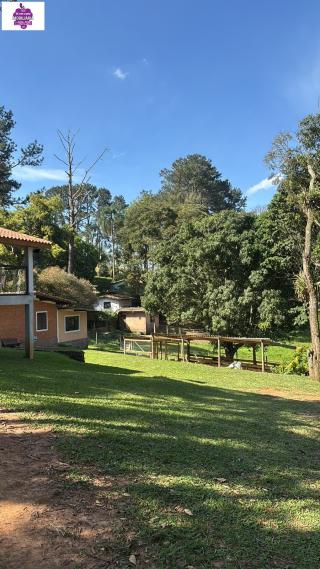 Chácara em Recanto Flora (Mailasqui), São Roque - Foto 3
