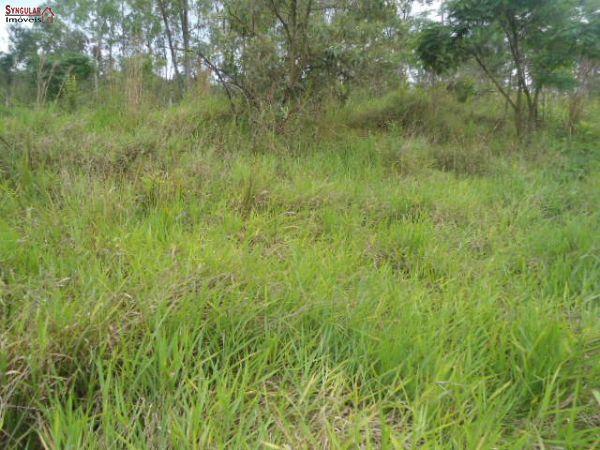 Terreno em , São Roque - Ocasião...Ótima Área com 13 mil m2. - Foto 2