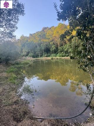 Sítio em Alves, Ibiúna - Foto 1
