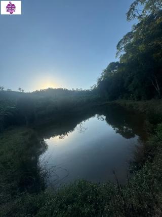 Sítio em Alves, Ibiúna - Foto 5