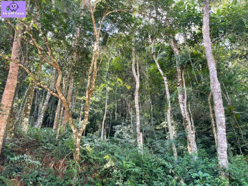 Terreno em Planalto Verde, São Roque - Terreno a Venda bairro Planalto Verde - Foto 1