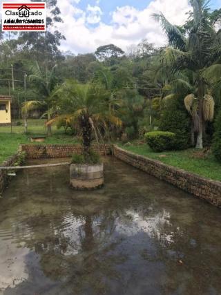 Chácara em , São Roque - Foto 7