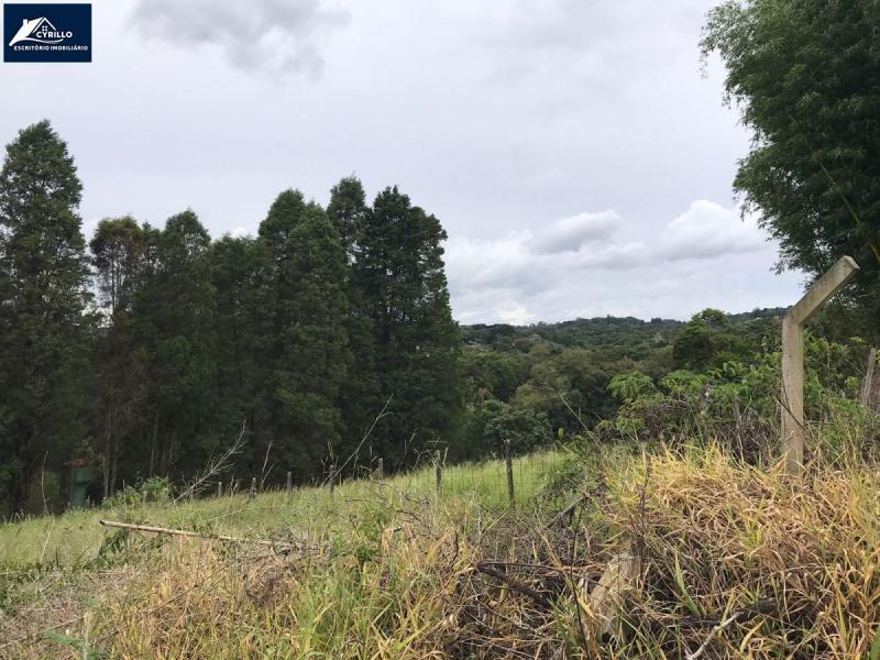 Terreno em Vinhedos, São Roque - 03 Lotes para venda Bairro Vinhedos - Foto 2