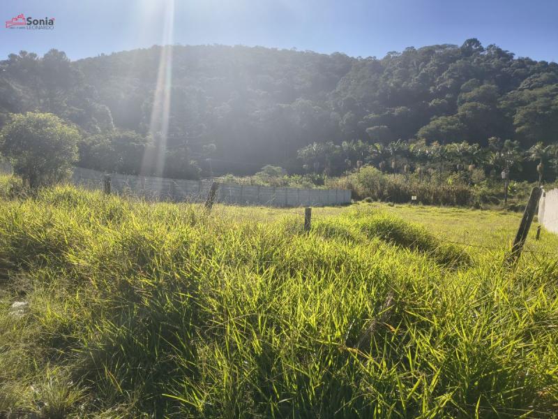 Terreno em Vinhedos, São Roque - TERRENO para venda - Quintino de Lima - Foto 3