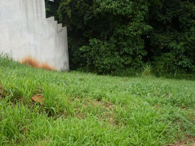 Terreno em , São Roque - Condominio Villa di Roma - Foto 2