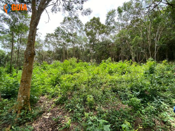 Terreno em , São Roque - OPORTUNIDADE- VENDo TERRENO  R$ 180.000 - Foto 1