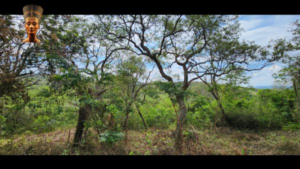 Terreno em Planalto Verde, São Roque - TERRENO 7.000M² - PLANALTO VERDE - Foto 2