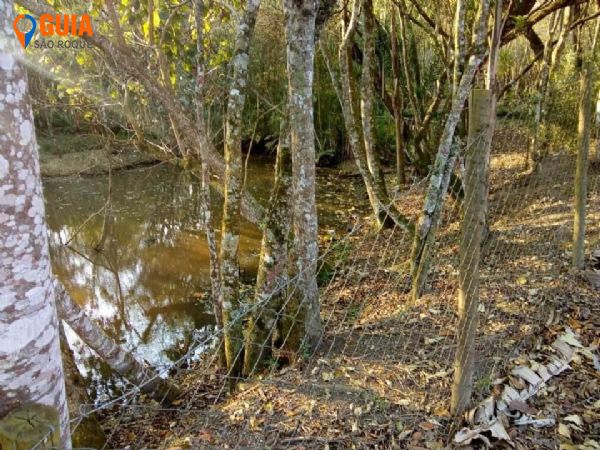 Sítio em Pavão, São Roque - Sítio no bairro Pavão / Canguera - Foto 2