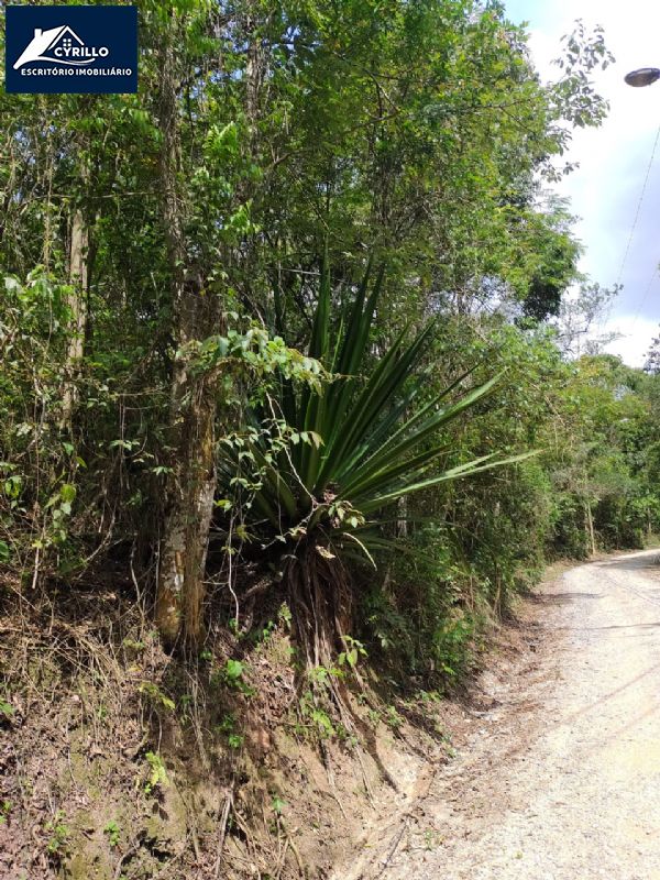 Terreno em Santo Antônio, São Roque - Terreno 8.000m² Santo Antonio - Foto 2