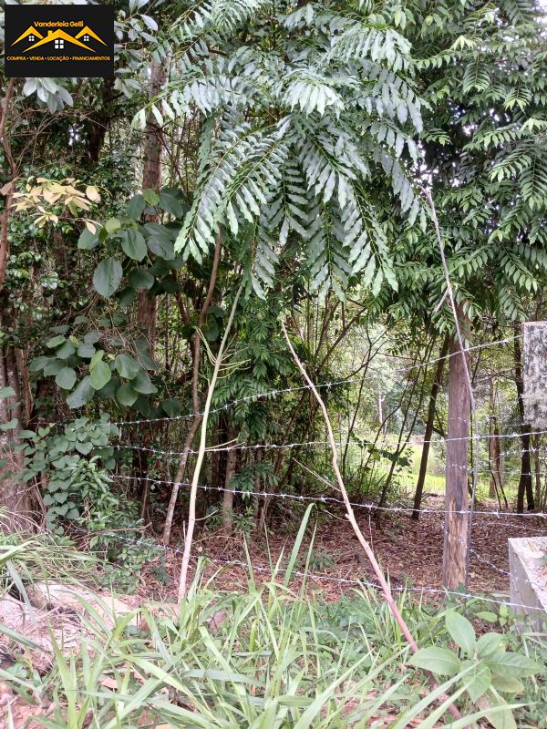 Terreno em , São Roque - Terreno com excelente localização - Foto 2