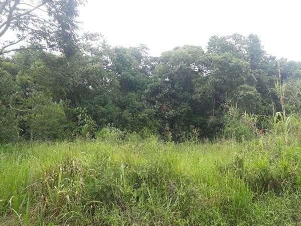 Terreno em Taipas de Pedras, São Roque - Oportunidade - Ótimo Terreno -  2.552 M² - Foto 1