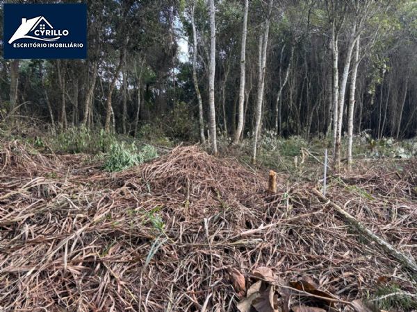 Terreno em Taipas de Pedras, São Roque - Terreno 2.552,00 m² São Roque SP - Foto 3