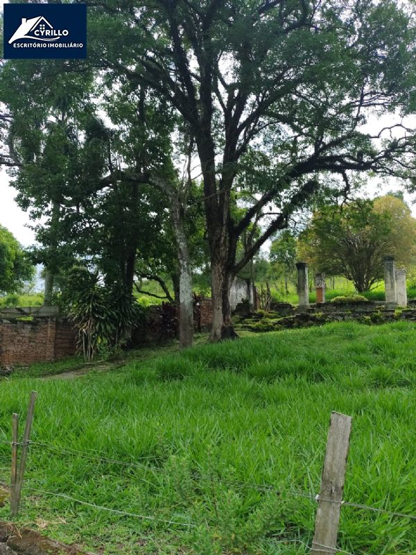 Sítio em Marmeleiro, São Roque - Sítio 248.000 metros São Roque SP - Foto 3