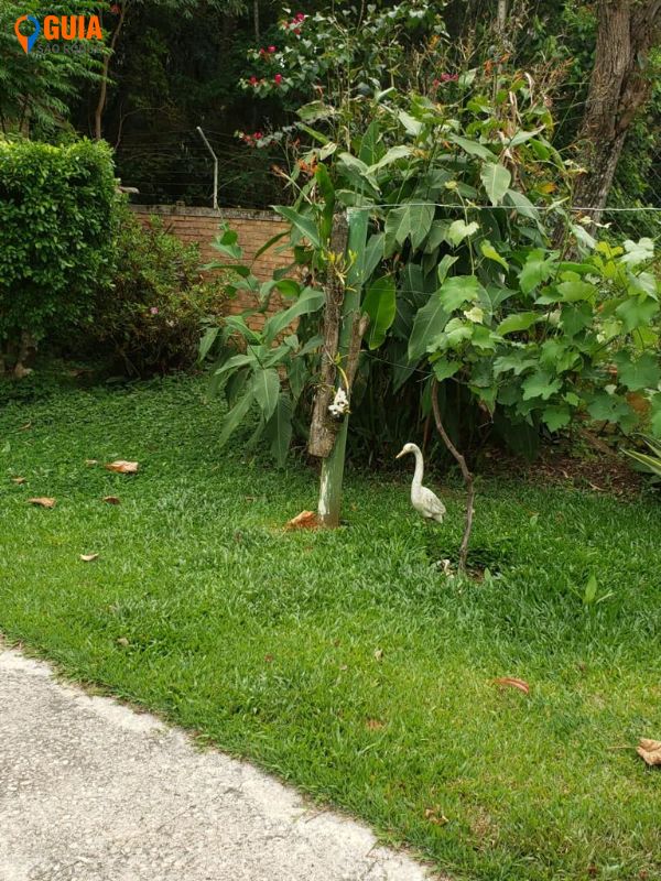 Chácara em Canguera, São Roque - Chácara venda São Roque estrada vinho - Foto 3