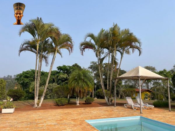 Sítio em Sorocamirim, São Roque - SÍTIO COM LAGO 20 MIL M² - SOROCAMIRIM - Foto 3