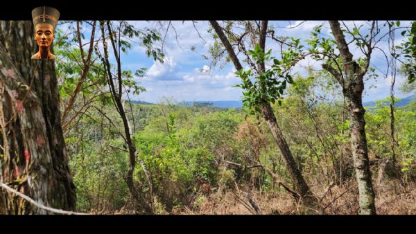 Terreno em Planalto Verde, São Roque - TERRENO 7.000M² - PLANALTO VERDE - Foto 3