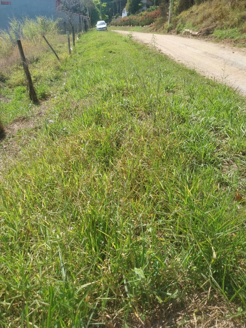 Terreno em Mailasqui, São Roque - Vende-se Otimo  Terreno em Mailasqui - Foto 3