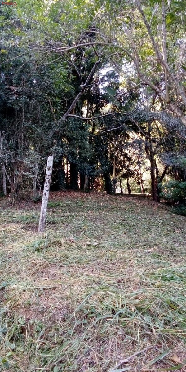 Sítio em , São Roque - Otimo Sitio de 2 Alqueires a Venda - Foto 3