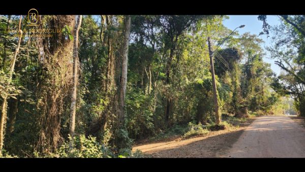 Terreno em Sorocamirim, São Roque - TERRENO - SOROCAMIRIM - Foto 3