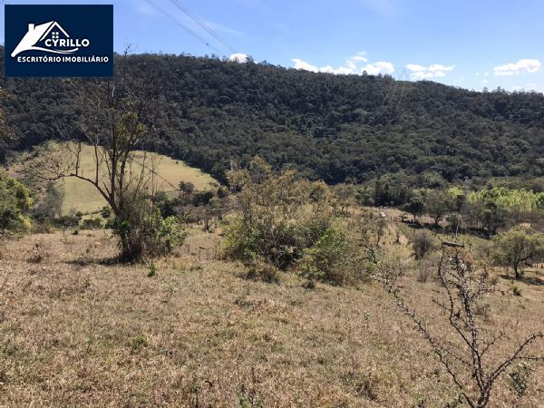 Sítio em Cambará, São Roque - Sítio 4.5 alqueires - Foto 3