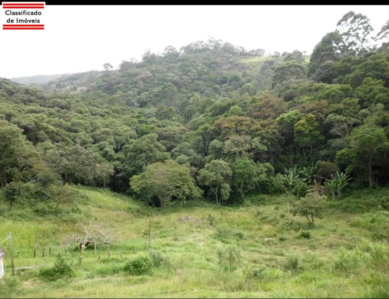 Terreno em Vila Darcy Penteado, São Roque - Terreno 7,400 M2 - Foto 3