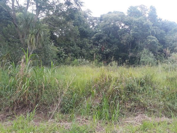 Terreno em Taipas de Pedras, São Roque - Oportunidade - Ótimo Terreno -  2.552 M² - Foto 3