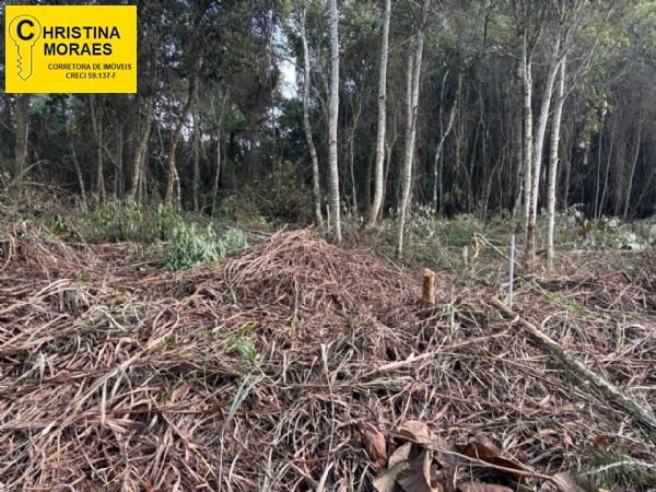 Terreno em Mailasqui, São Roque - Excelente Terreno - Foto 3