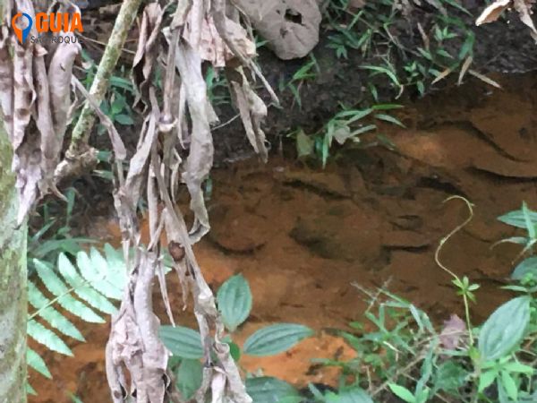 Terreno em Saboó, São Roque - VENDE-SE Terreno no  Saboó, São Roque SP - Foto 3