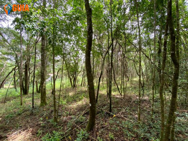 Terreno em , São Roque - OPORTUNIDADE- VENDo TERRENO  R$ 180.000 - Foto 3