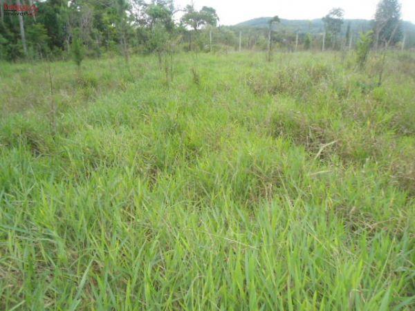 Área Industrial em , São Roque - Vende-se Área industiral  e Comercial - Foto 3