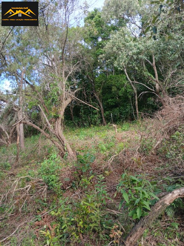 Terreno em , São Roque - terreno excelente para vender - Foto 3