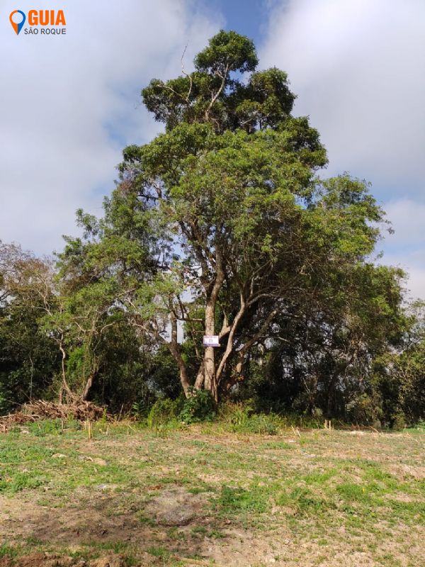 Terreno em Alto da Serra, São Roque - Belo terreno no Alto da Serra São Roque - Foto 2